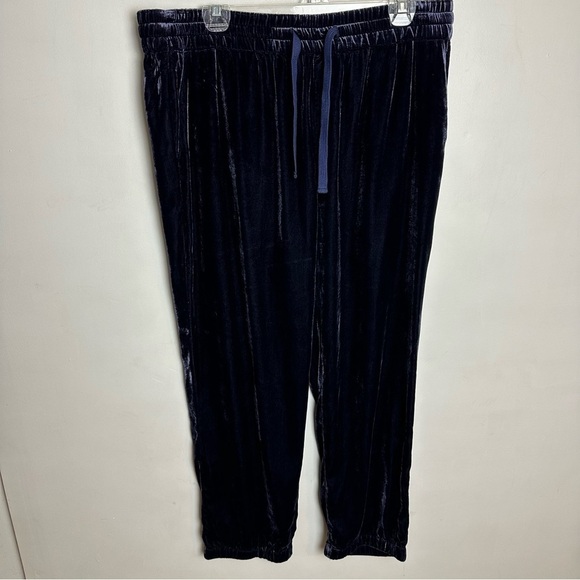 J Crew Velvet Pull On Pants Women’s size 14 Joggers Tapered Dark Blue - Picture 8 of 8